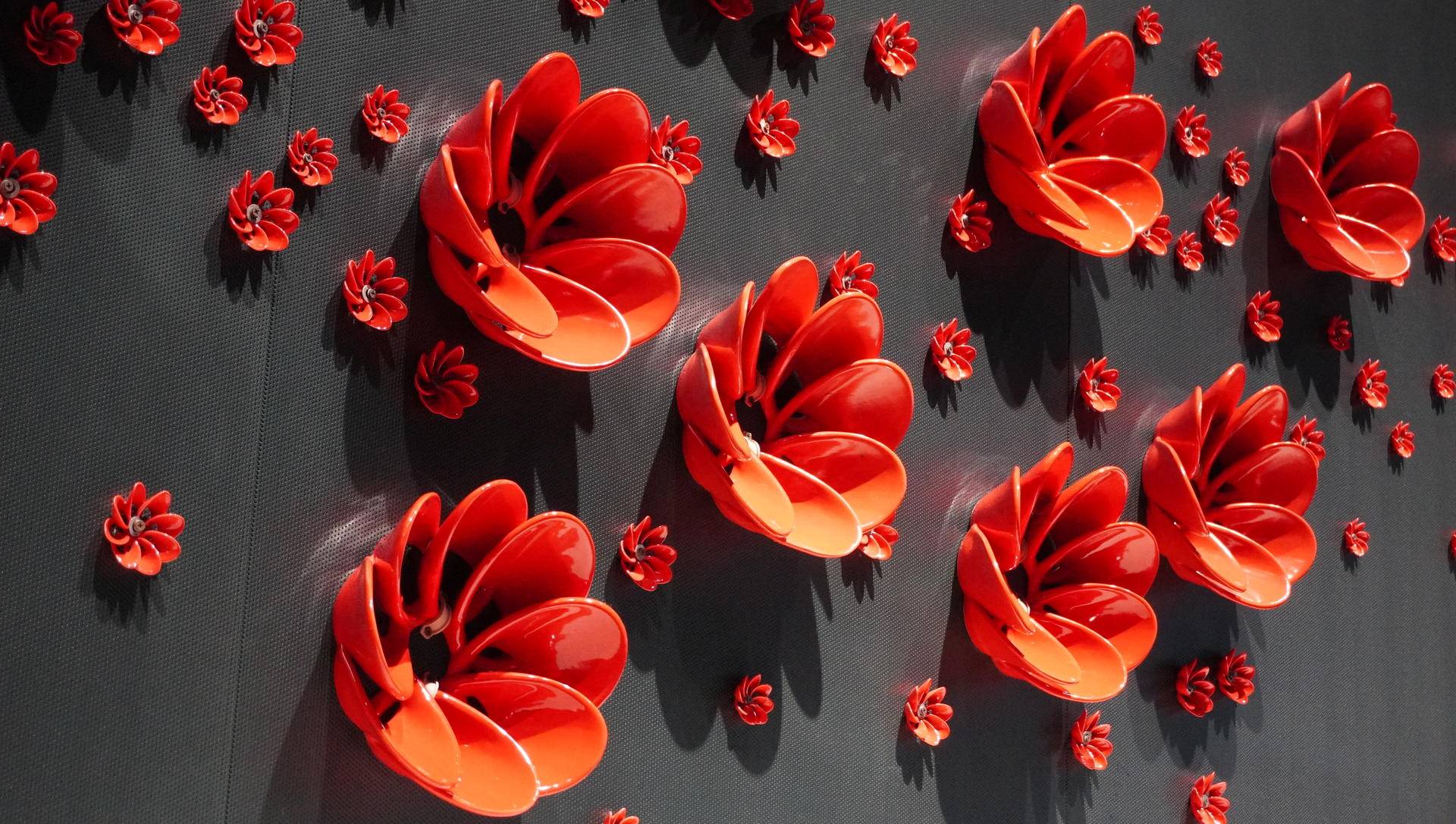 索尼微单6000与6100区别,索尼6100拍抖音评测