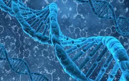 哪些肺癌病人需要做基因检测？不要与靶向治疗擦肩而过