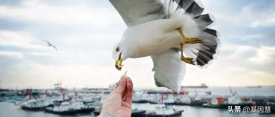 GeneMail周报：真实世界数据技术规范发布；谷歌和赛诺菲合作RWD