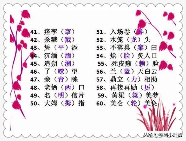 小升初总复习字词专项训练大全,小升初高频易错字归纳大全