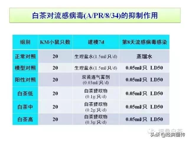 刘仲华白茶功效,刘仲华谈福鼎白茶