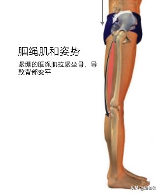 大腿后肌群拉伤可以做什么训练,大腿后肌群拉伤可以按摩吗