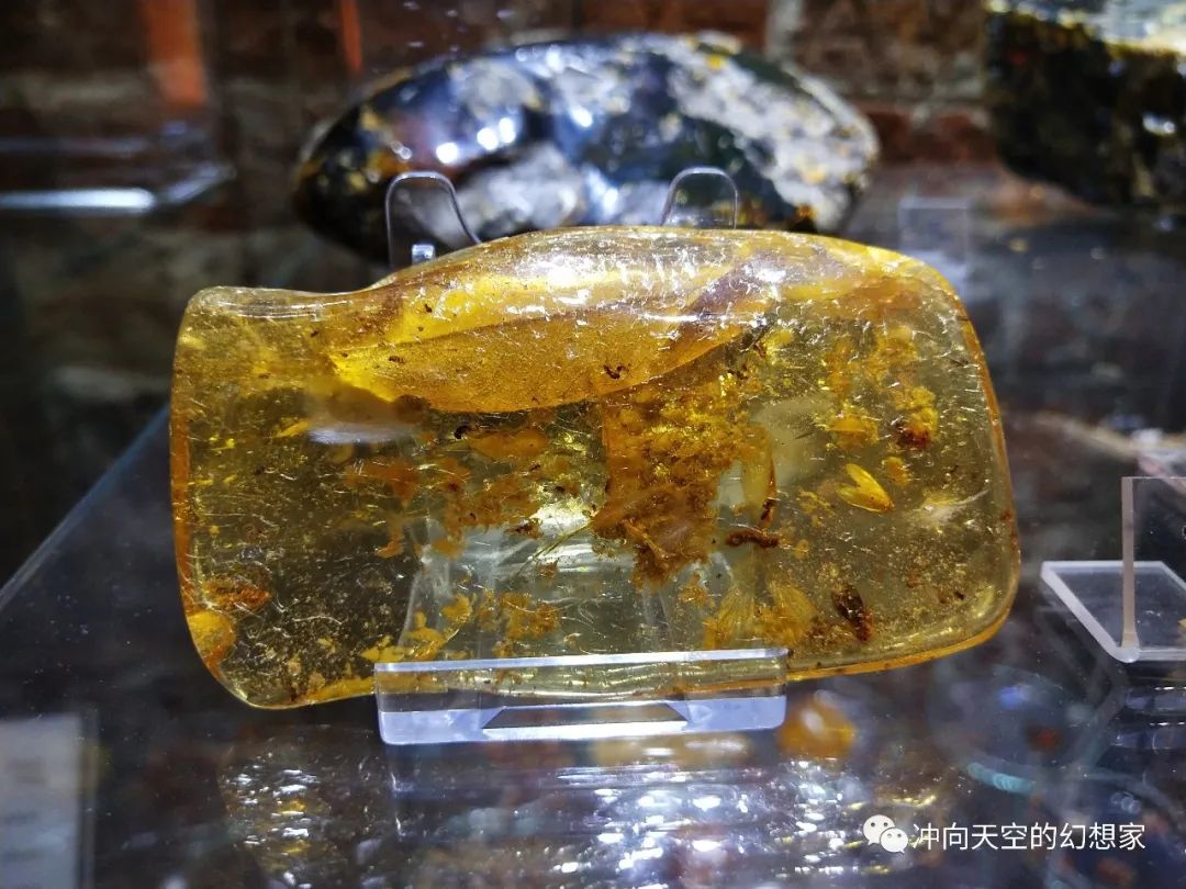 娆ф床鏃呮父鍩庡競,娆ф床鍩庡競鏃呮父搴﹀亣