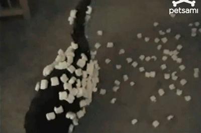 男生永远不懂我的难过,男生永远不懂女生之间的友情