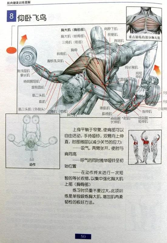 男士健身燃脂操30分钟完整版,健身房健身计划一周表男士增肌