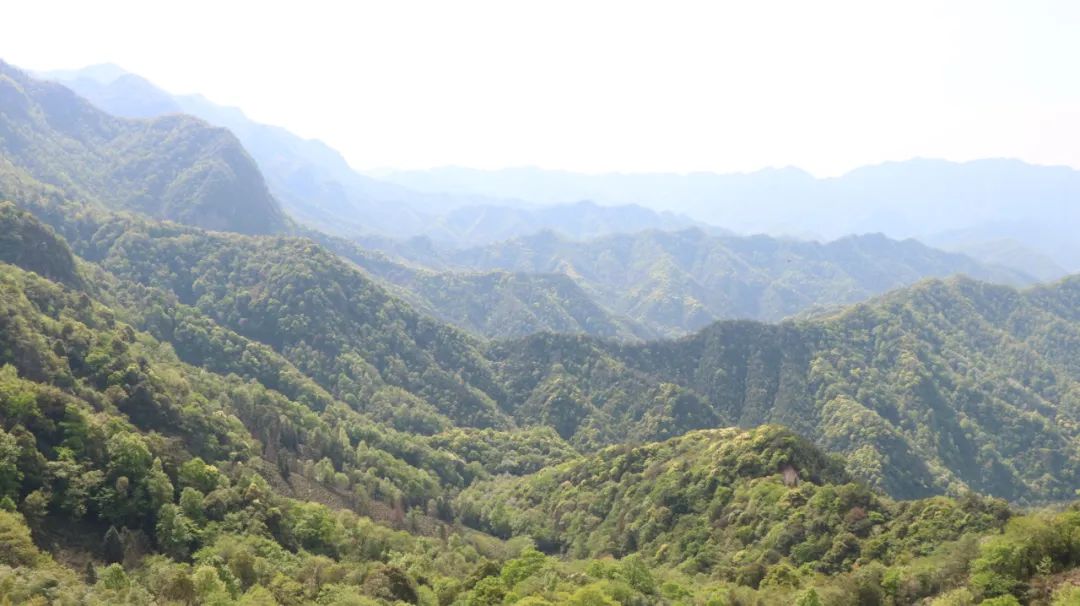 石台仙寓山附近哪里好玩,石台仙寓镇云里居