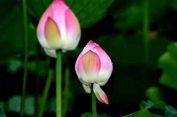 一个中年女性的忏悔,一个即将退休的女人的悔恨