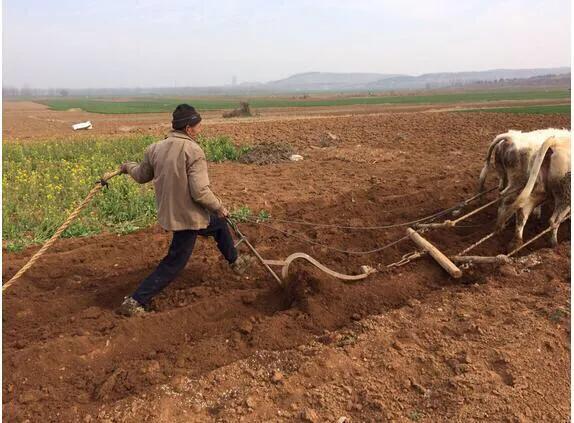 今日春分,春分是啥意思?春分下雨好不好?看俗语怎么说