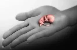 那些流掉的胎儿都去哪里了?看看这些结果,你还会选择流产么?