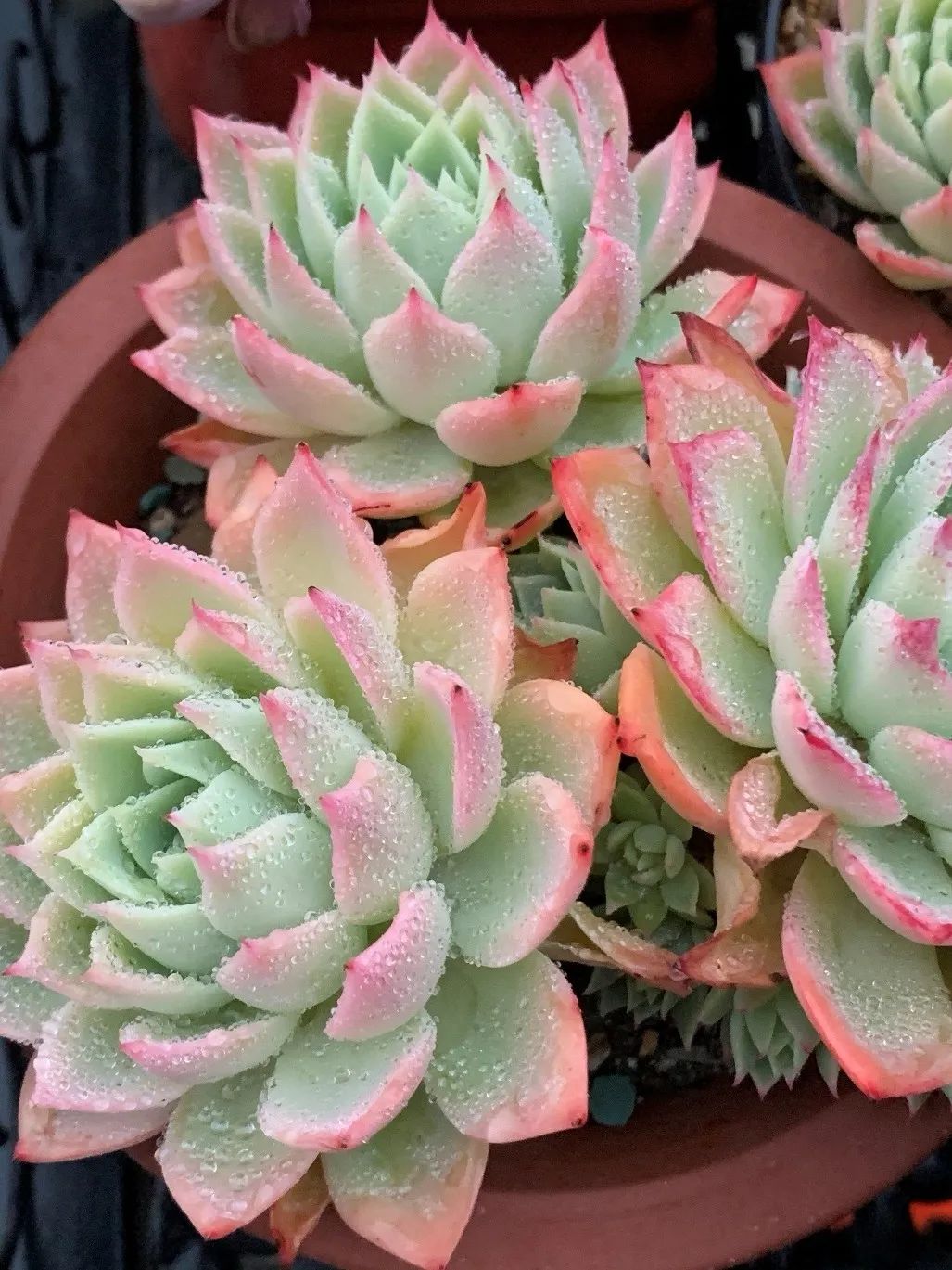 禁足的日子收获颇多,禁足