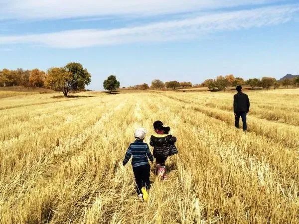 风吹麦浪孙俪李健,李健风吹麦浪原唱