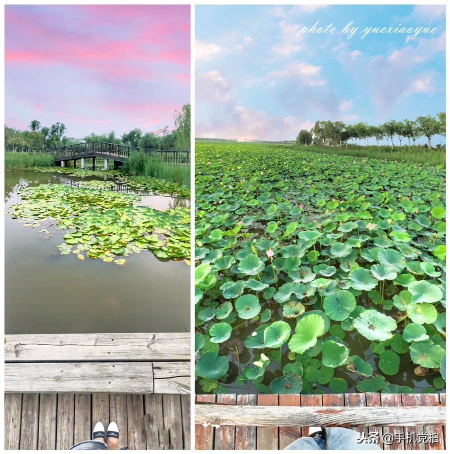 教你手机拍照全景,360度全视角全景手机怎么拍