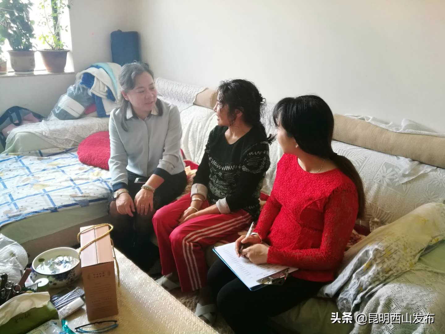 苏群影响力,苏群的影响力