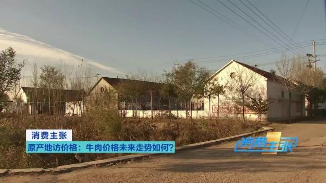 牛肉批发价最新价格,牛肉价格补贴最新消息