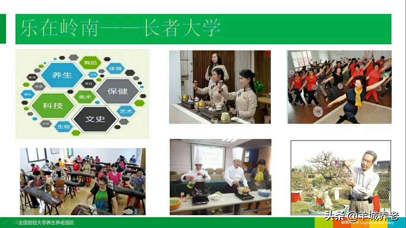 广州市天河区岭南养生谷养老院,广州颐寿养老院一览表