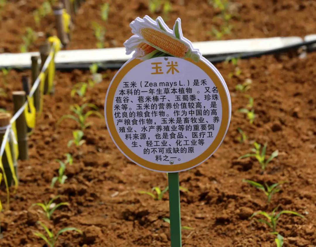 一起去瓶窑“拿块地”！古城旁，南山下，50个平方200元......