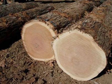 全实木美式橡木,美国红橡做轻奢风格