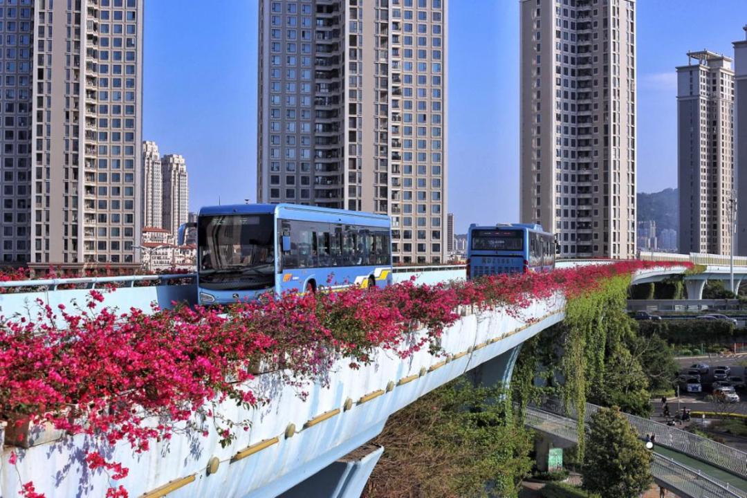 *光春**正好，快来搭乘开往春天的brt~