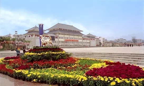 都安炮来历,都安炮的典故是什么