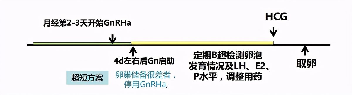 促排卵治疗方案那么多，看看哪种适合你？