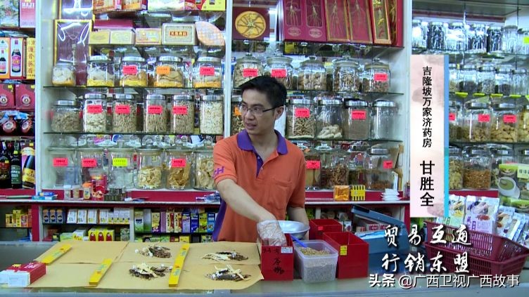 马来西亚籍女主持人,马来西亚著名女主播