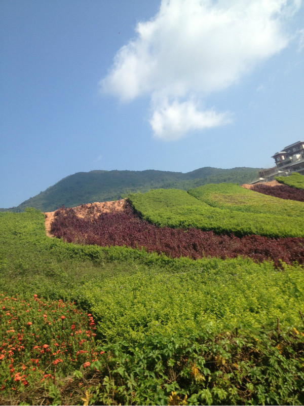 三亚自由行旅游攻略超详细哦,三亚旅游自由行全攻略