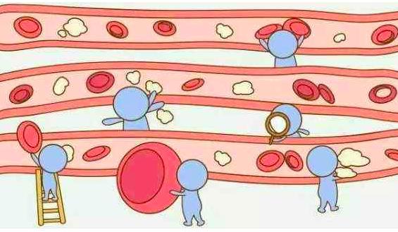 最罕见的血型在江苏被发现,江苏出现罕见血型