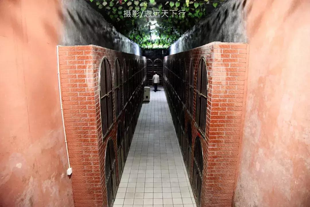 悠然三明：梅列瑞云山为佛，葡萄美酒配熏鸭