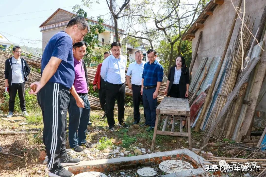 毛集区农村人居环境整治,毛奇