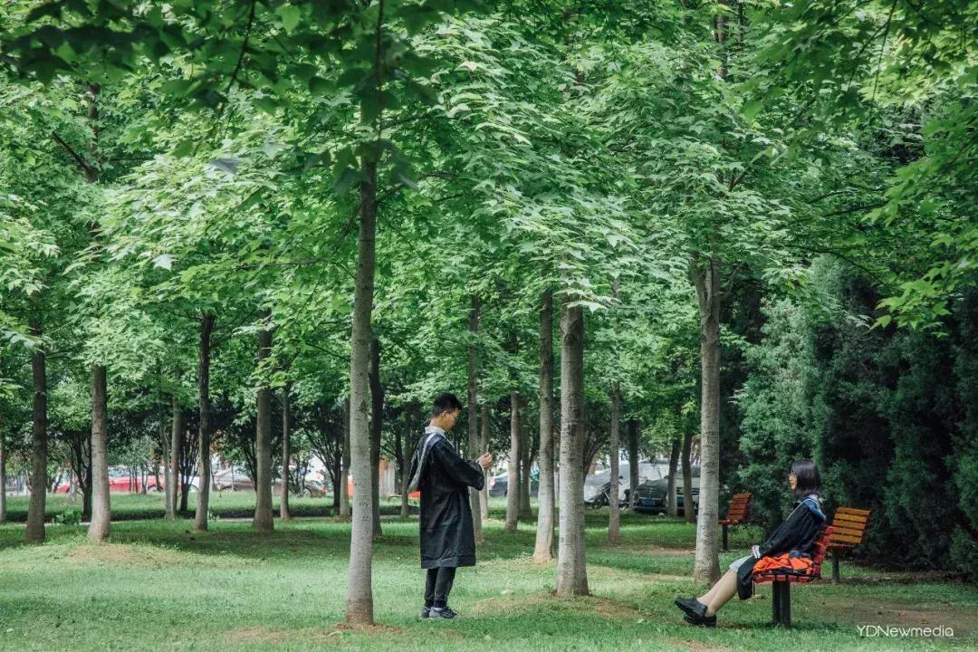 武汉人不会说的话,武汉人表白外国人