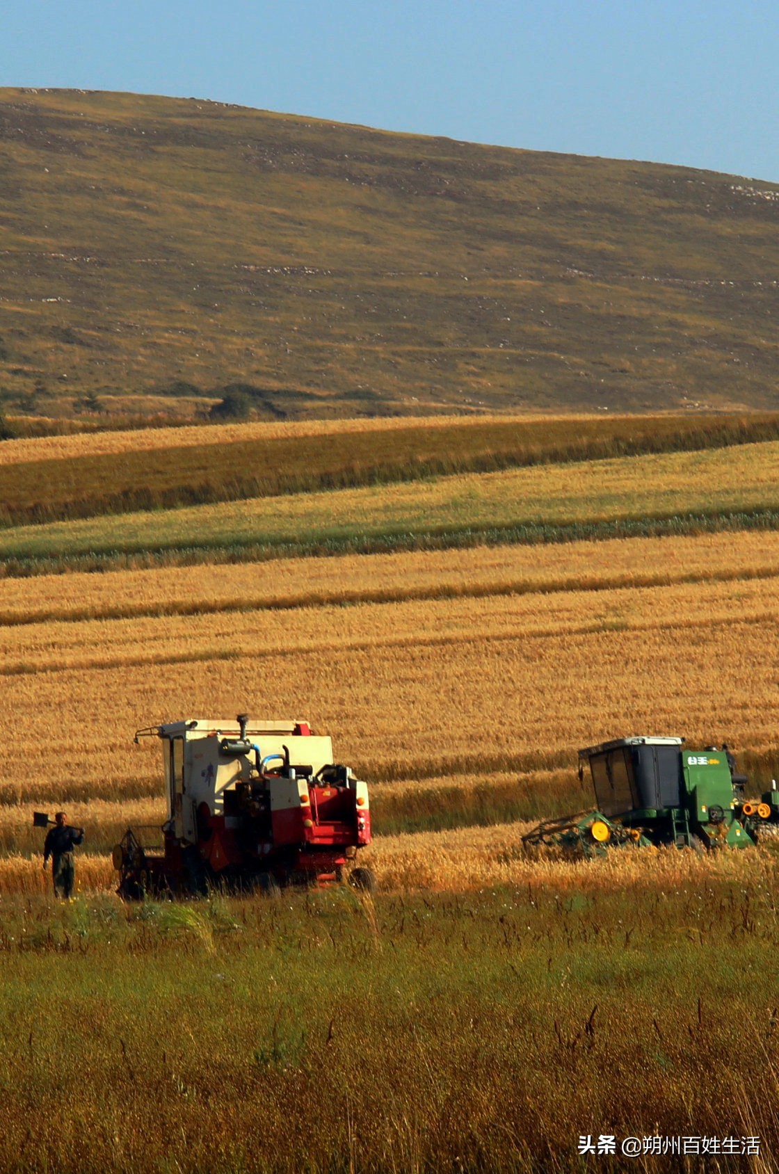 朔州：张耀元宅家随笔五则