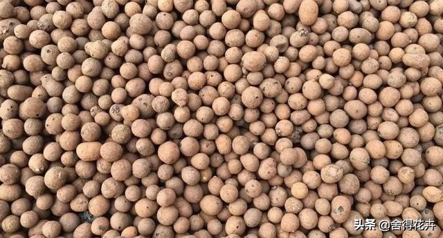 养花的铺石有哪些种类,养花石怎么种植好呢