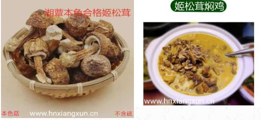 干姬松茸哪个牌子好，有哪些作用功效和禁忌