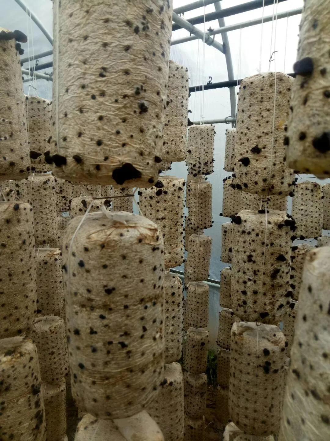 【漳县电商人物访谈第十七期】创业励志青年——王晓斌