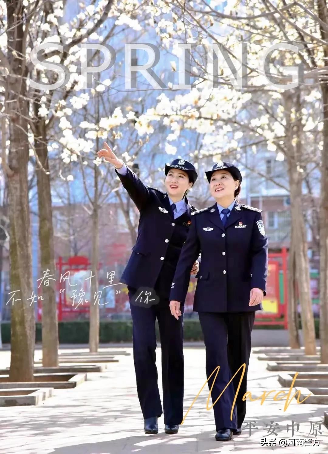 豫警文苑丨春风十里,不如“豫见”你