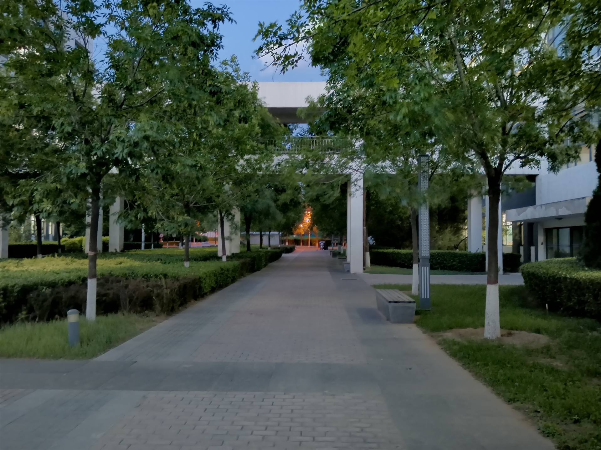 荣耀play5多长,荣耀play5能用多久