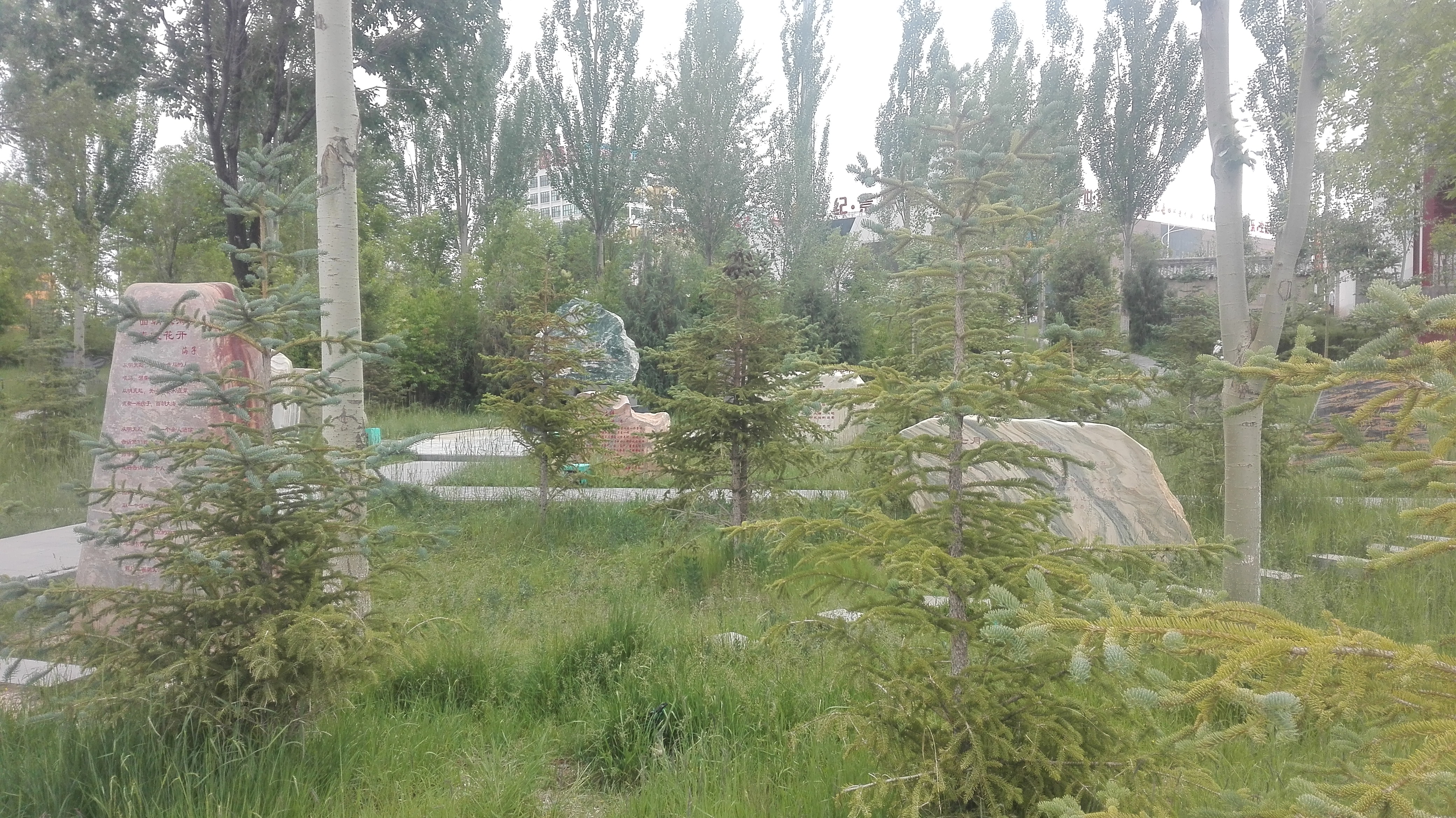 美丽的高原城市德令哈,德令哈一座安静的高原