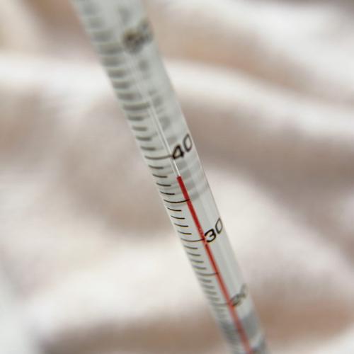 猫瘟导致眼睛变绿,谈猫色变