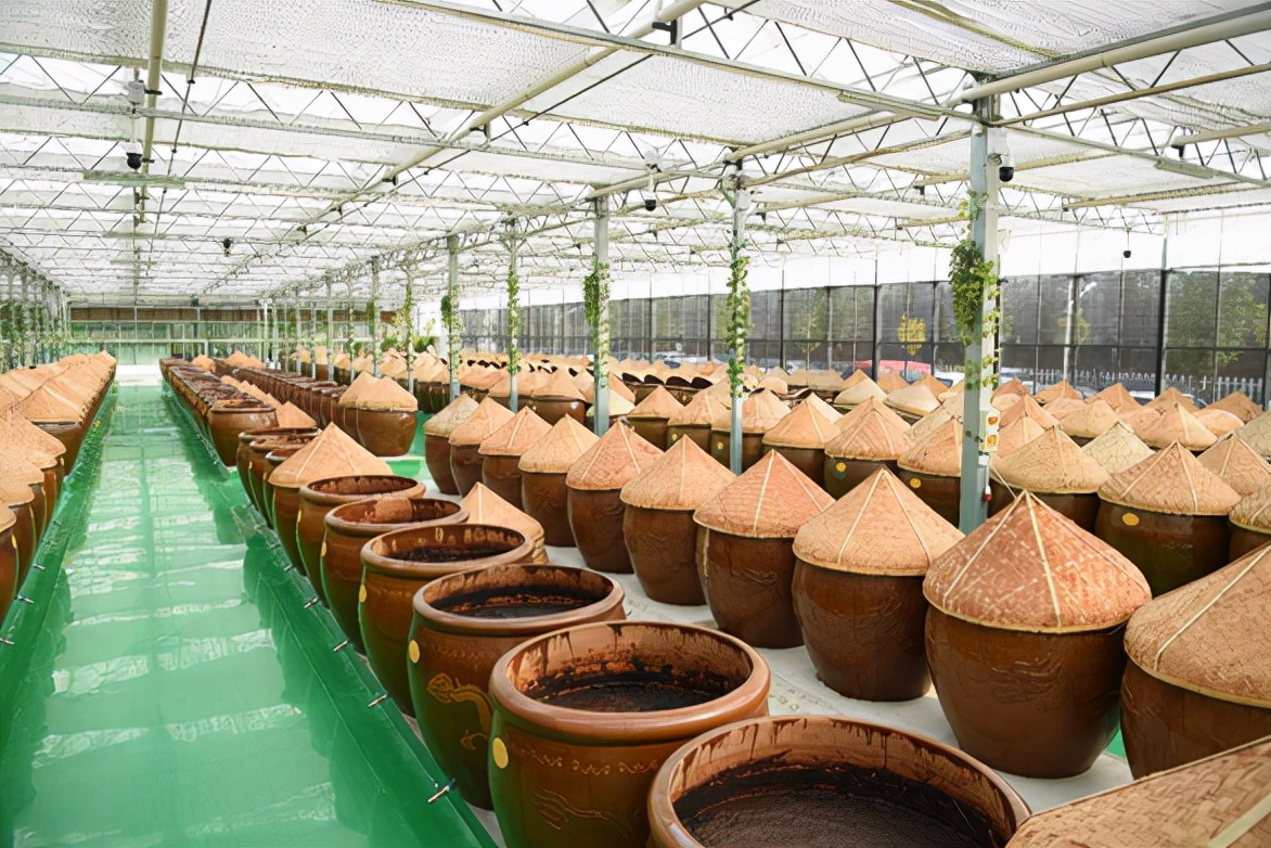 临淄世界足球起源地,世界足球发源地临淄