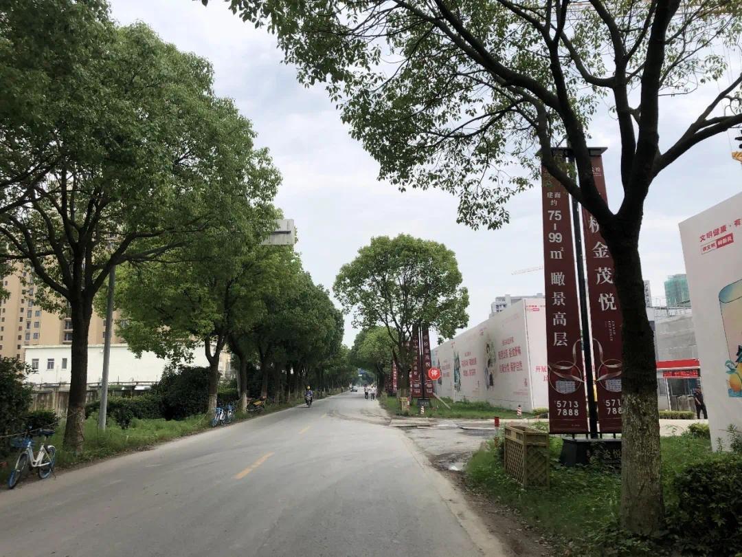 奉贤新城三盘Battle战!谁占C位,谁是炮灰?