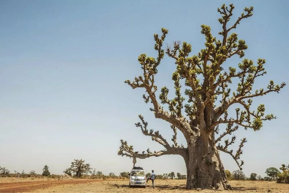 95后开着五菱环游世界,95后开面包车环游世界