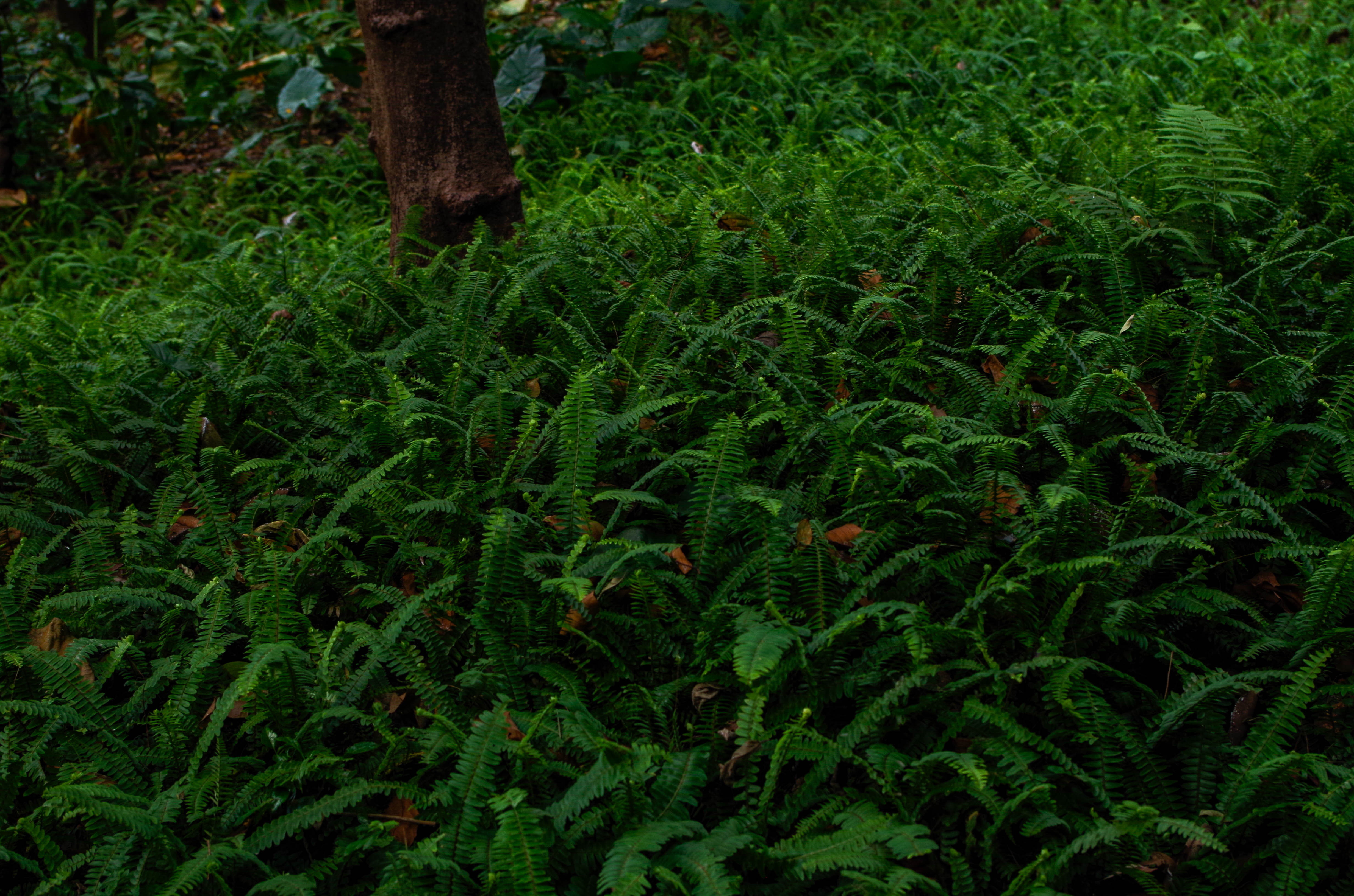 广州云道线路图高清版大图,广州云道旅游装备推荐