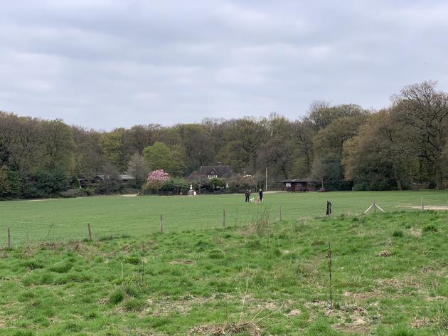 外媒华为p30pro,华为p30pro深度评价