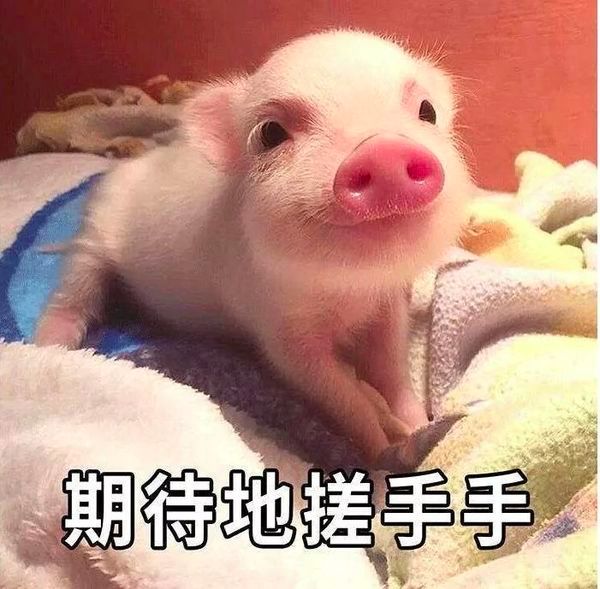 ysl小金条过期,ysl小金条转不回去怎么办