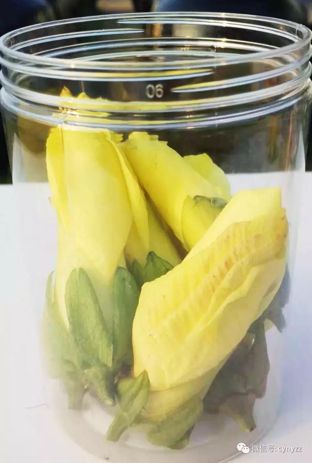 药食同源金花葵,金花葵是药食同源食品吗