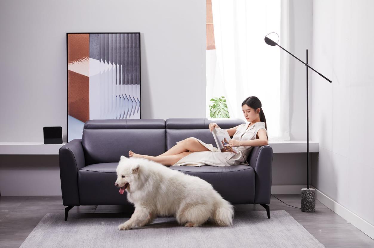 电动沙发能用小爱同学控制吗,用小爱同学控制8h智能沙发