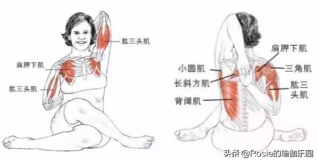 屁股肥大腿粗平躺怎么瘦,久坐腿粗臀下垂怎么锻炼