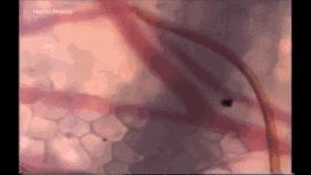 科普张姿势动图：感觉自己姿势又涨了100点