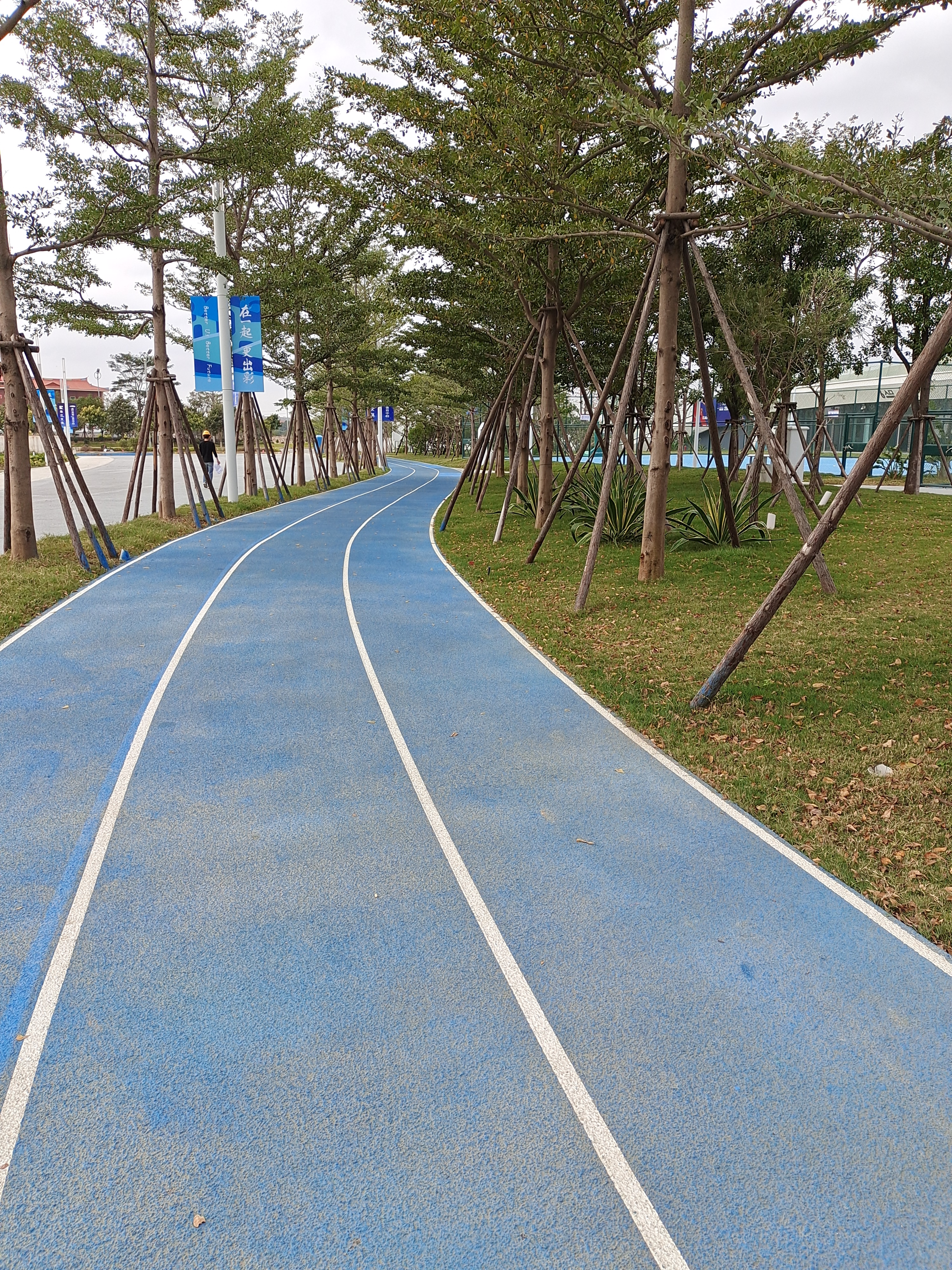 晋江市第二体育中心参观,晋江市第二体育馆全景
