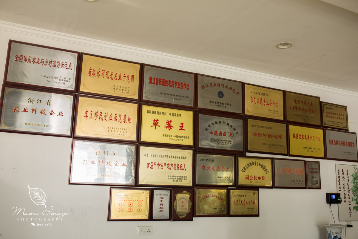 几百亩草莓采摘基地，无销售，不够卖，老板：绿色天然无公害